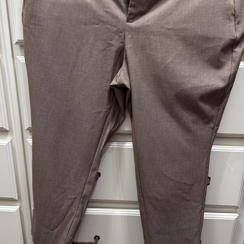 Torrid Women's Brown Dress Ankle Pants